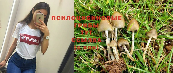 прущий лед Волосово