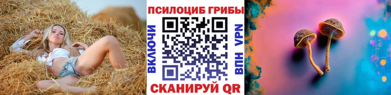 Псилоцибиновые грибы мицелий  OMG ссылка  Ясный 